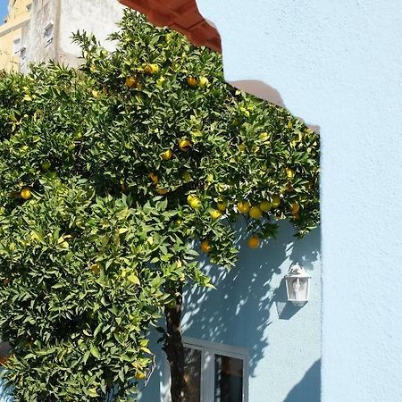 Proa D'Alfama Guest House Lisboa Kültér fotó