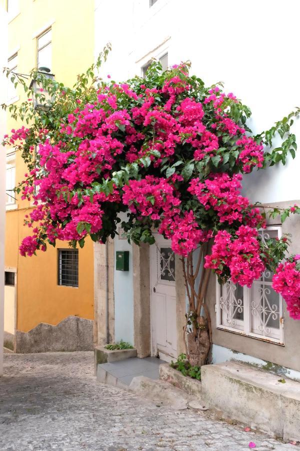 Proa D'Alfama Guest House Lisboa Kültér fotó