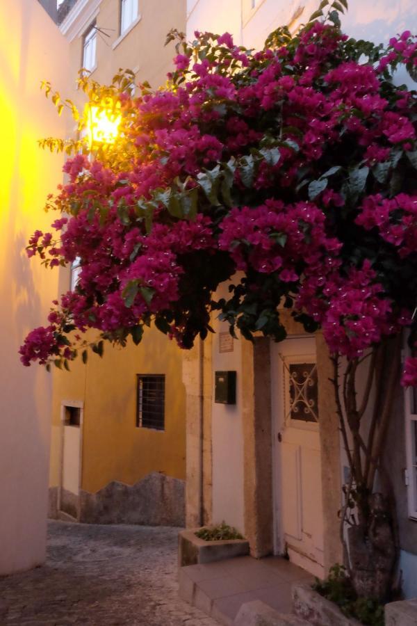 Proa D'Alfama Guest House Lisboa Kültér fotó