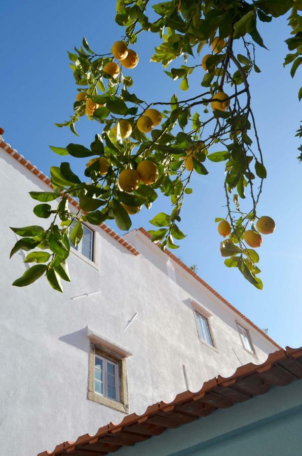 Proa D'Alfama Guest House Lisboa Kültér fotó
